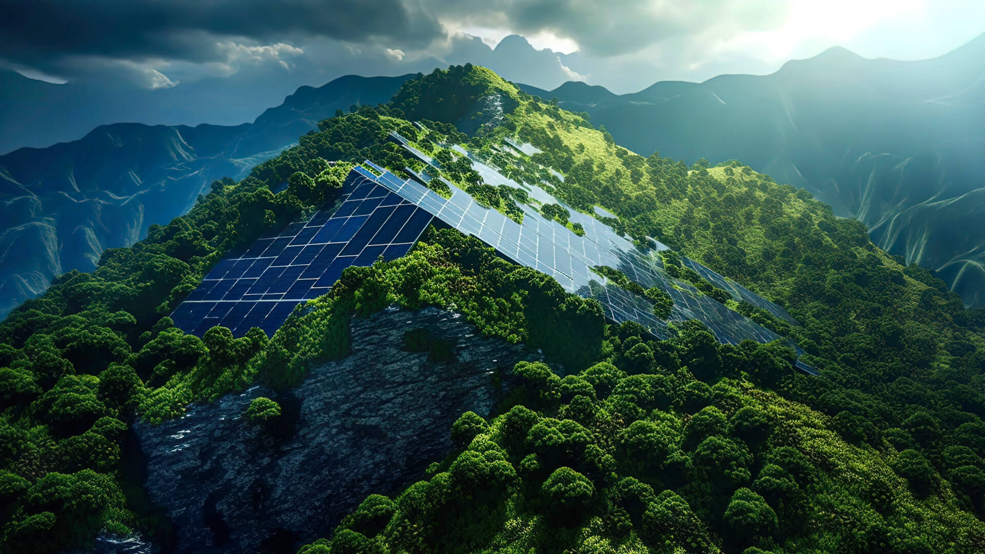 z6com·尊龙新能的
可持续发展