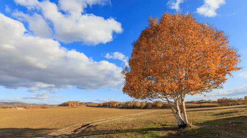 国家能源局发布《可再生能源绿色电力证书核发和交易规则》、能源法草案二审将有新调整、地方风光储新政…… 