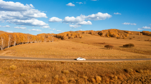 ?10月电网代理购电电价公布、光伏产业标准体系建设指南（2024版）、最新光伏价格公布、海南发布建筑光伏系统建设技术标准…… 