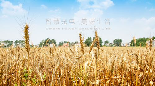 我国首部能源法正式问世、国家能源局/工信部最新通知、?支持企业引进光伏技术、虚拟电厂全电量参与现货电能量交易出清…… - 拷贝