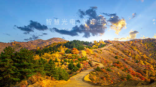 十二部门发布重要方案、国家能源局发布能源和绿证数据、广东省发布虚拟电厂参与电力市场交易实施方案……