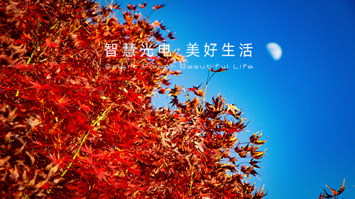 国家能源局发布指导意见和新批次名单、国家统计局解读11月份CPI和PPI数据、?新一轮储能政策颁布……