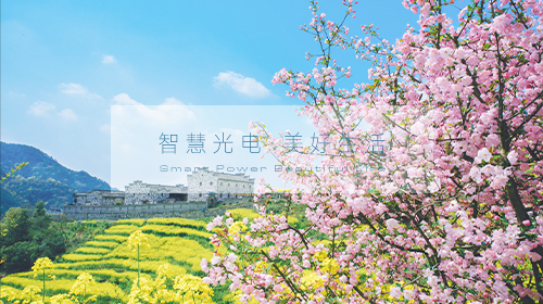 2025年能源工作指导意见、光伏行业研讨会、本月电网企业代理购电价格、多地修订电力中长期交易实施规则