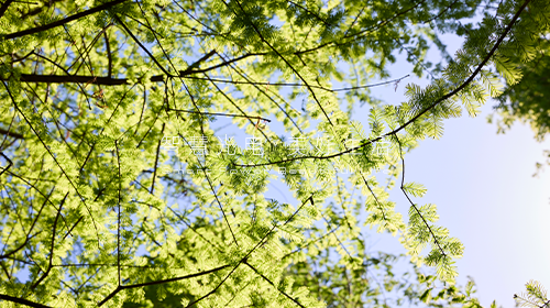 最新修订《承装（修、试）电力设施许可证管理办法》、深圳试行分布式光伏发电系统碳普惠方法学……