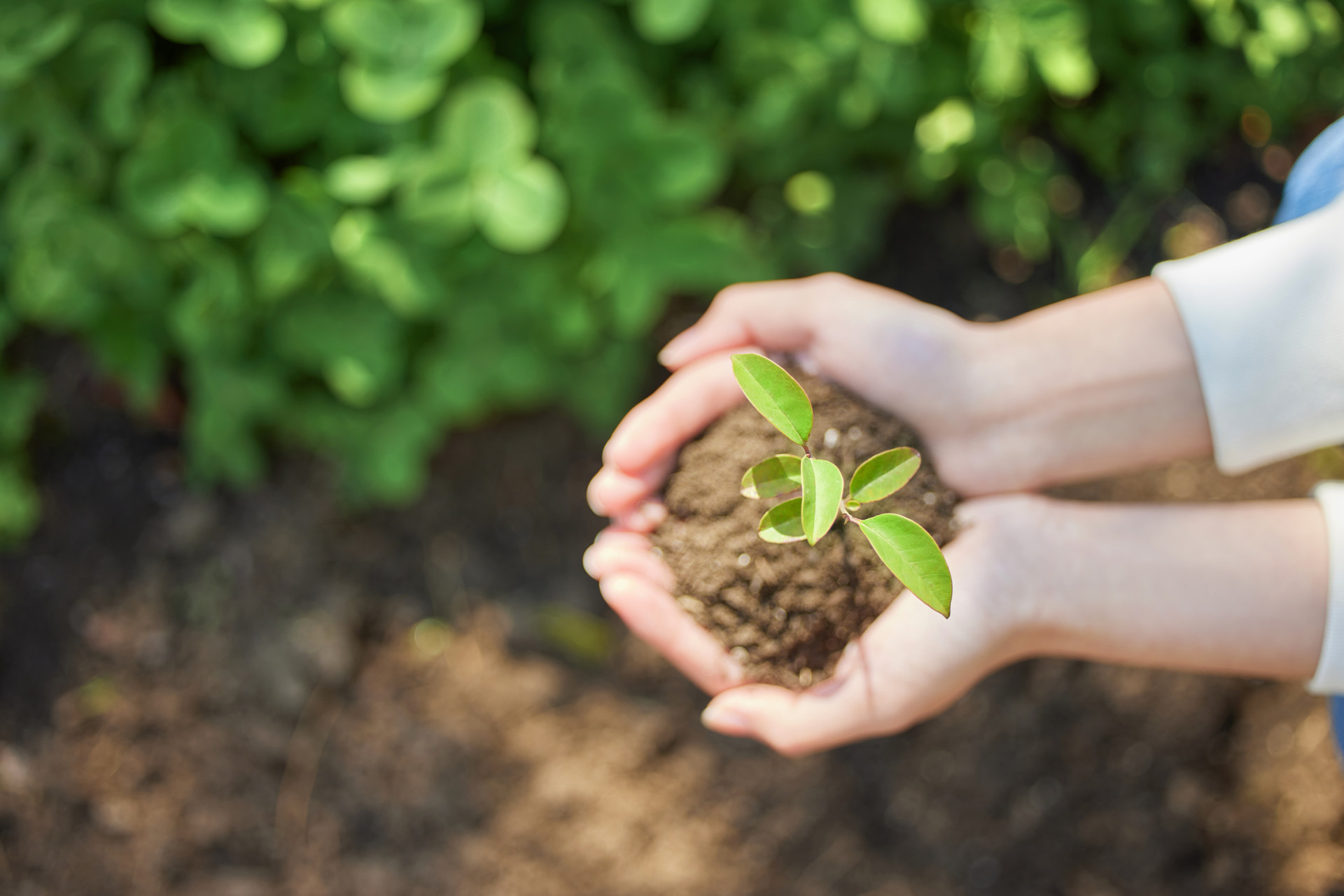 履行社会责任，助力乡村振兴?