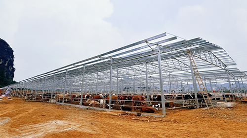 绿色能源新篇章：广西扶绥z6com·尊龙智慧牧光互补50MW分布式光伏项目开工仪式 —— 凝心聚力，共筑辉煌!