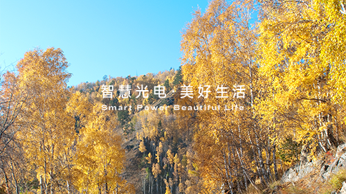 可再生能源非电消费纳入年度考核指标、全球首次突破气候临界点……